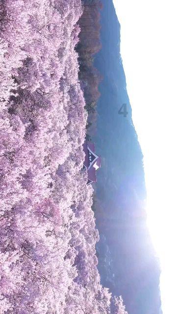 去年云南电网投入100亿元建设现代化农村电网